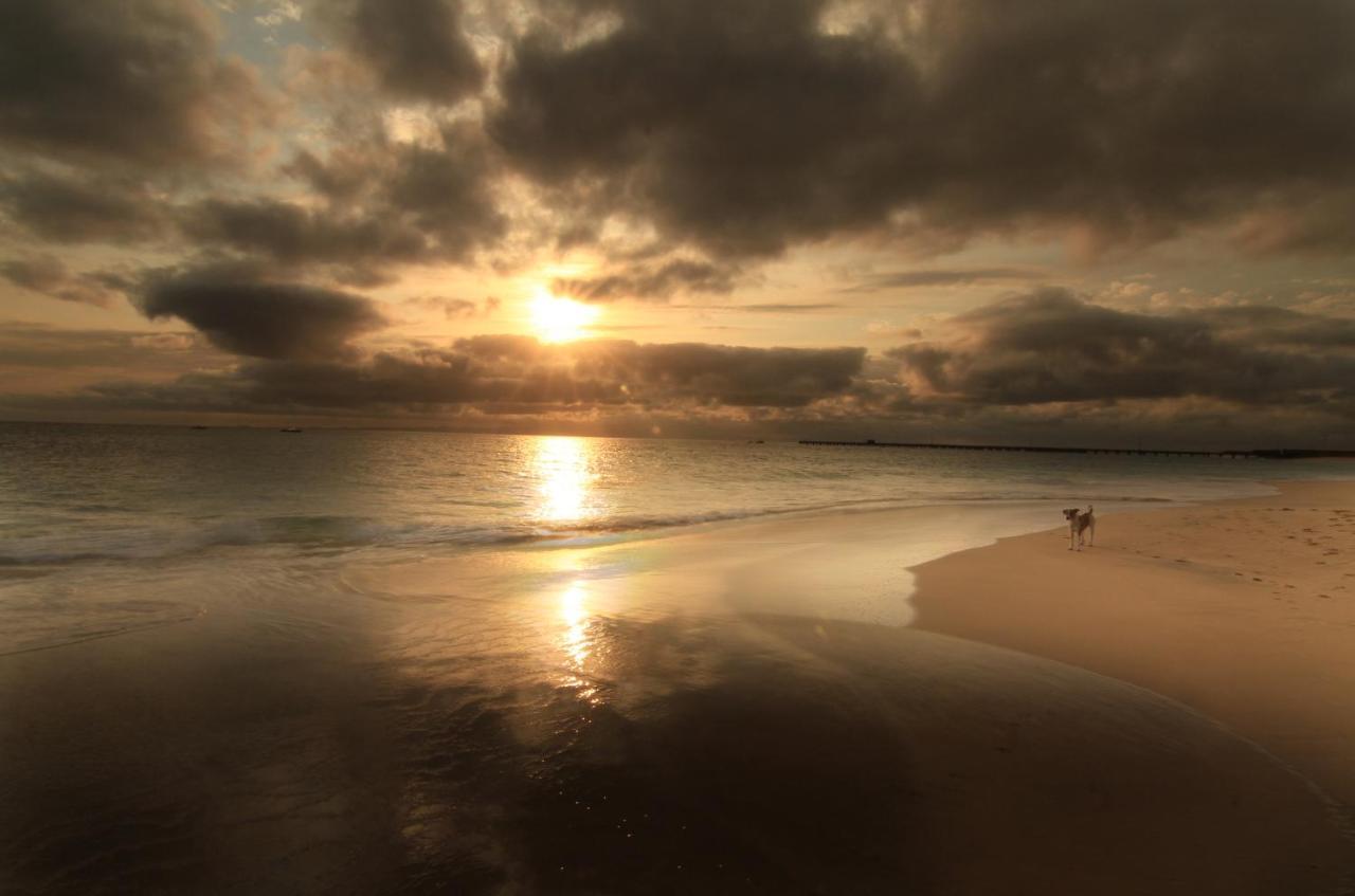 Atlantic Maio 3*